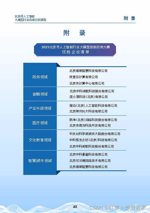 2024北京市人工智能大模型行业应用分析报告